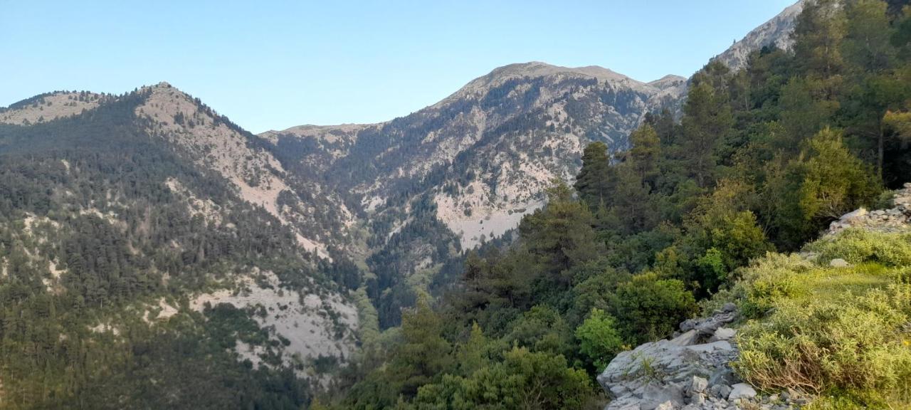 شقة Το Σπίτι Της Ελένης Vlachia المظهر الخارجي الصورة