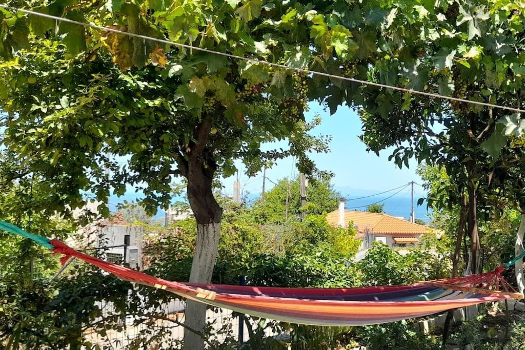 شقة Το Σπίτι Της Ελένης Vlachia المظهر الخارجي الصورة