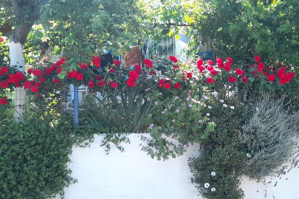 شقة Το Σπίτι Της Ελένης Vlachia المظهر الخارجي الصورة