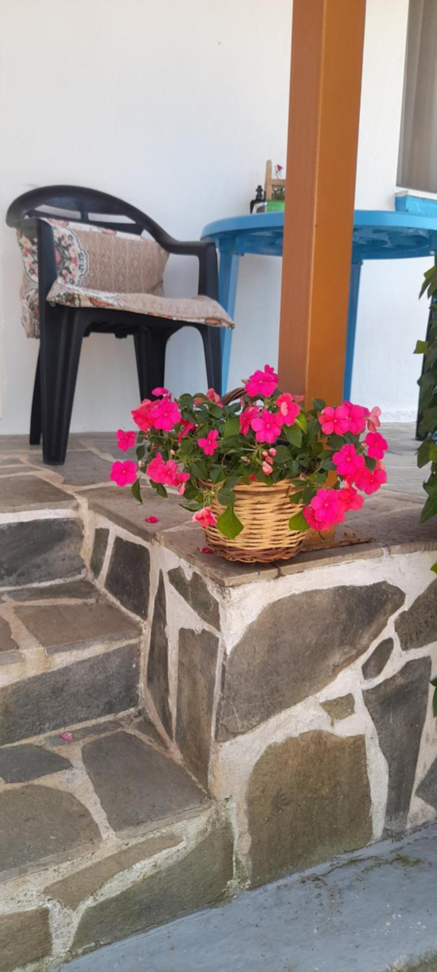 شقة Το Σπίτι Της Ελένης Vlachia المظهر الخارجي الصورة