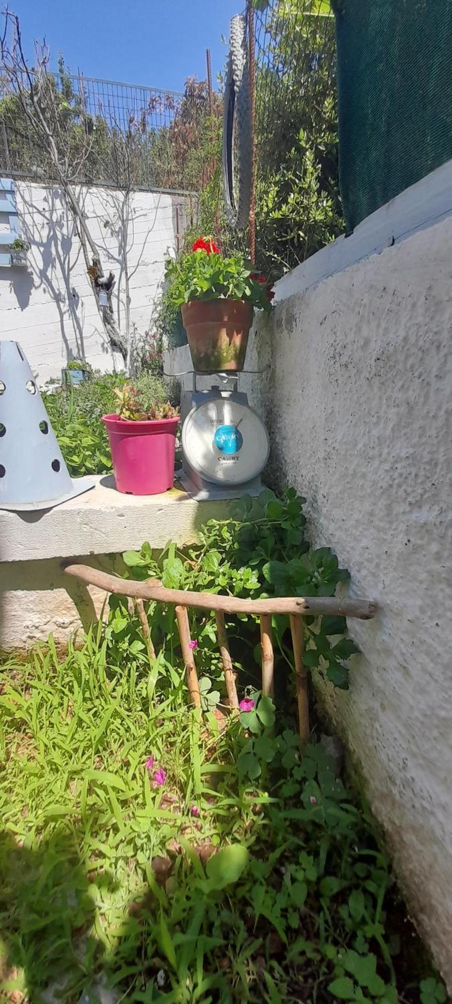 شقة Το Σπίτι Της Ελένης Vlachia المظهر الخارجي الصورة
